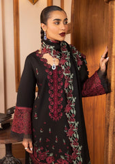 Winter Collection - Rang Rasiya - Carnation Khaddar Shawl - Fibha - D#07