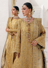 Formals - Aik Atelier - Wedding Festive 25 - Vol-II - Look#10