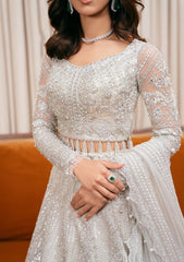 Formal Collection - Saira Rizwan - Festive 24 - LIARA-SRF-D-01