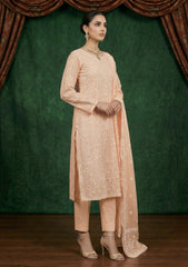 Formals - Riwaj - Fancy Net - 2 Pcs Suit - CND#03 - L Peach