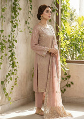 Formals - Riwaj - Fancy Bamber Chiffon - 2 Pcs Suit - CBD#2893 - Brown