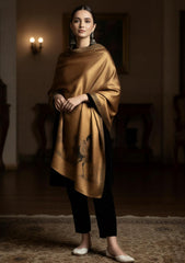 Winter - Riwaj - Plain Velvet Suit With Silk Zari Jamawar Shawl - VSZ#01 - Black