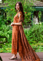 Winter - Marjjan - Bella 25 - Embroidered Karandi - MWK#37 A - RUST