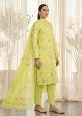 Lawn - Rubaaiyat - R Prints 26 - Volume 3 - D#34 - Lemon