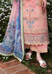 Lawn - Esmel - Belle Saison 26 - EUNSS#205 - Zelle