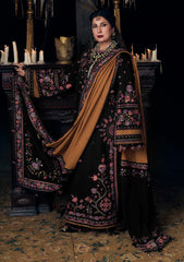 Winter - Hussain Rehar - Kot Radha Kishan - Karandi 26 - JAHANARA