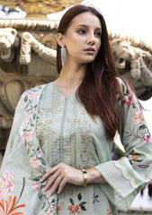 Winter - Meerak - Premium Embroidered Linen 25 - NYSA