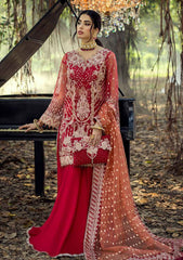 Formal Collection - Adan's Libas - Sang-E-Rah - D#03