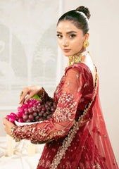 Formals - Afzaah - Celestial - Unstitched 25 - D#05 - DURRAH