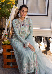 Lawn - Saira Shakira - Unstitched Festive 25 - DILARA-A