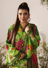 Winter - Naqsh - Bloom & Vogue 25 - NB#00151 - Parrot Green