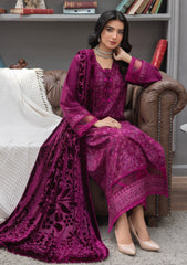 Winter - Meemsey - Monal 25 - Velvet Shawl - MVS#01