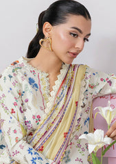 Lawn - Qalamkar - Q Prints 25 - Vol II - QLM#09-A