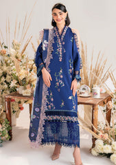 Winter Collection - Asifa & Nabeel - Meraki - Volume 01 - AM24#03 - Frostbite