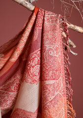 Water Wool Jamawar Shawl D - 01 - Multi 06