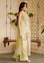 Lawn - Asifa & Nabeel - Versa Luxury 26 - VUL#03 - Heirloom