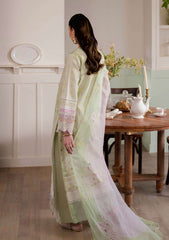 Lawn - Neeshay - Summer Lines 25 - Vol II - SPRING FERN