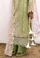 Lawn - Qalamkar - Qlinekari 25 - DC#01 - Lovisa