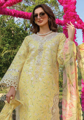 Lawn Collection - Rang Rasiya - Carnation Festive Edit - RC24#02 - RAYA