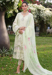 Lawn Collection - Noor - Saadia Asad - Luxe Chikankari - NSC24#11-B
