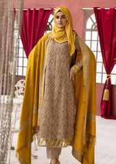 Winter Collection - Riaz Arts - DastKari - D#04