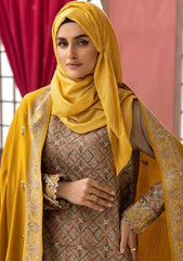 Winter Collection - Riaz Arts - DastKari - D#04