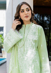 Lawn Collection - Aik Atelier - V02 - D#2B