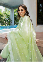 Lawn Collection - Aik Atelier - V02 - D#2B