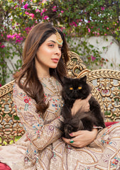 Formal Collection - Ramnab - Iris - Wedding - AMANI