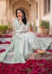 Lawn Collection - Bin Ilyas - Dilbaro - Festive Edit - D#403-A