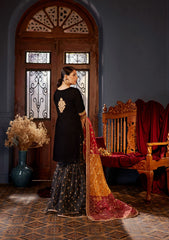 Winter Collection - Zainab Chottani - Velvet - ZCV23#02 - MEHR MAH