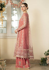 Formal Collection - Qalamkar - Dilnaz - Wedding - DN#05 - Samara