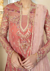 Formal Collection - Qalamkar - Dilnaz - Wedding - DN#05 - Samara