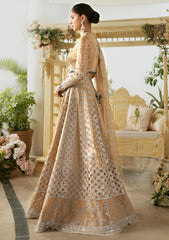 Formal Collection - Qalamkar - Dilnaz - Wedding - DN#01 - Imaan