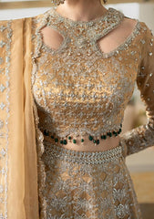 Formal Collection - Qalamkar - Dilnaz - Wedding - DN#01 - Imaan