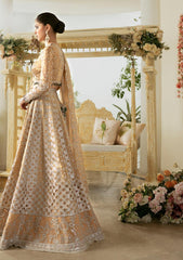 Formal Collection - Qalamkar - Dilnaz - Wedding - DN#01 - Imaan