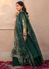 Lawn Collection - Bin Ilyas - Dilbaro - Festive Edit - D#407-A