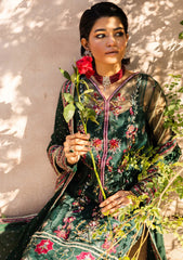 Formals - Saad Shaikh - Jahan - Festive Edit - SANDALI