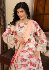 Winter - Humdum - Zaiba - Karandi 25 - D#01