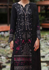 Winter - Riaz Arts - Tehzeeb 25 - Leather Peach - TL#458