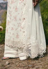 Lawn - Qalamkar - Qlinekari 25 - DC#13 - Miri