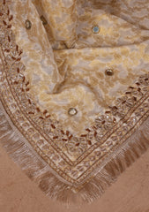 Formals - Bahawalpur Pehnawa - Chiffon Jamawar - 2 Piece - D#01