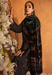 Winter Collection - Rang Rasiya - Premium Edit 24 - RRP#03 - Espresso