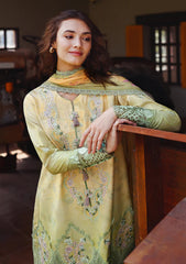 Lawn - Mushq - Solace 26 - Ombre Chikankari - MUNSS#210 - Quiet Bloom