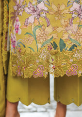 Winter - Rang Rasiya - Lifestyle - Edit 25 - D#08 - EVA