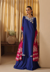 Winter Collection - Rajbari - Nissa - RBN24#14
