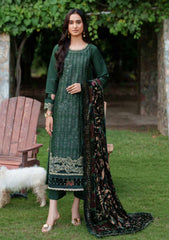 Winter - Parishay - Panache - Palachi Shawl 25 - PNE#11