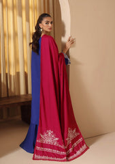 Winter Collection - Rajbari - Nissa - RBN24#14