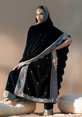 Pret - Fozia Khalid - Chamakh Dhamakh - Wedding Festivity - Heer