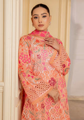 Lawn - Meemsey - Rang Kari - Luxury Festive 25 - MRL#08